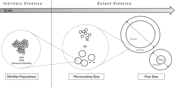 image file: d5ew00844a-f2.tif