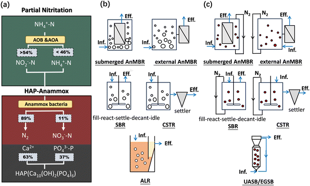 image file: d5ew00850f-f2.tif