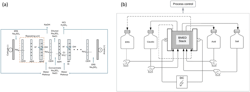 image file: d5ew00977d-f2.tif
