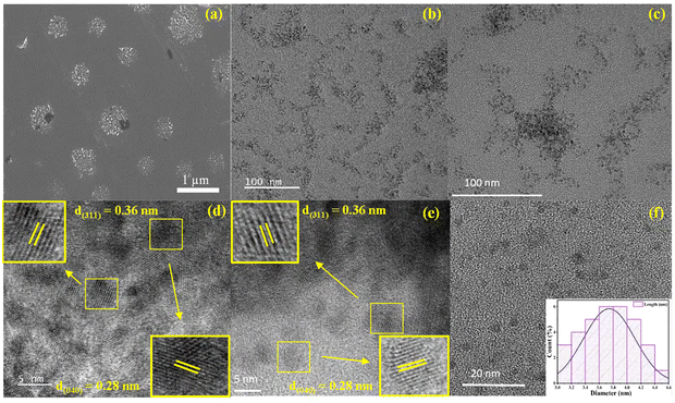 image file: d5ey00169b-f2.tif