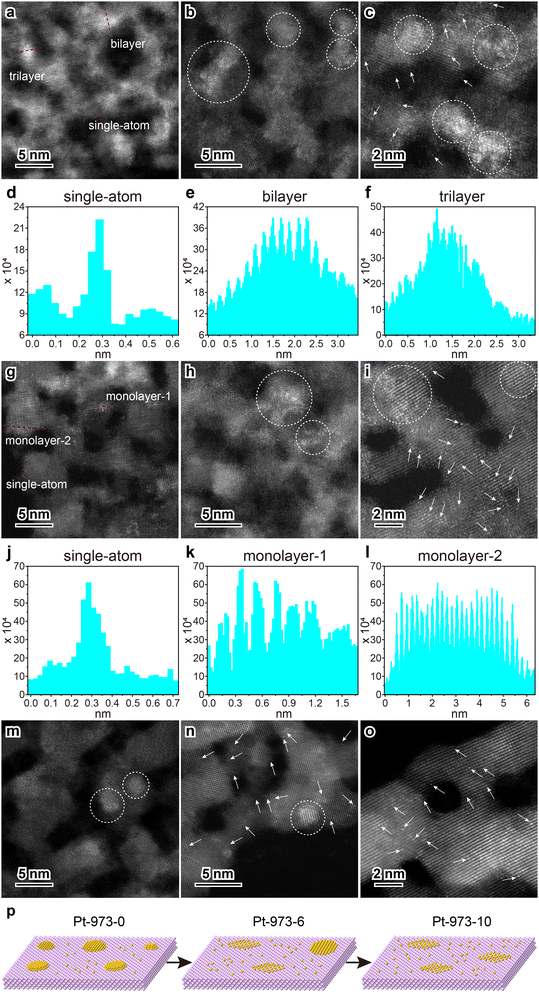 image file: d5ey00243e-f8.tif