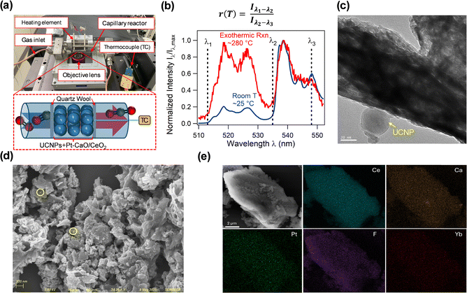 image file: d5ey00319a-f2.tif