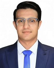 image file: d5ey00322a-p3.tif