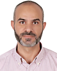 image file: d5ey00322a-p4.tif