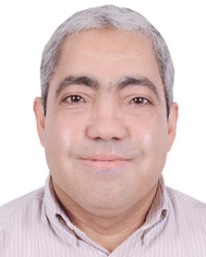 image file: d5ey00322a-p7.tif