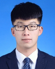 image file: d5ey00343a-p2.tif