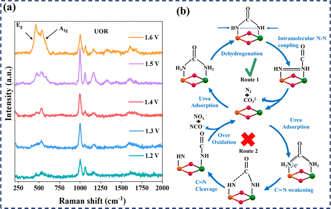 image file: d5ey00367a-f3.tif