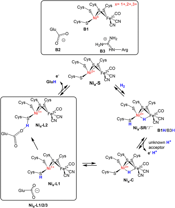 image file: d6ey00004e-f1.tif