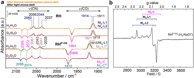 image file: d6ey00004e-f6.tif