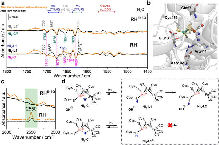 image file: d6ey00004e-f7.tif