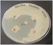 image file: d5fb00147a-u1.tif