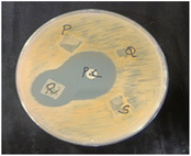 image file: d5fb00147a-u2.tif