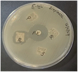 image file: d5fb00147a-u3.tif