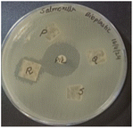 image file: d5fb00147a-u4.tif