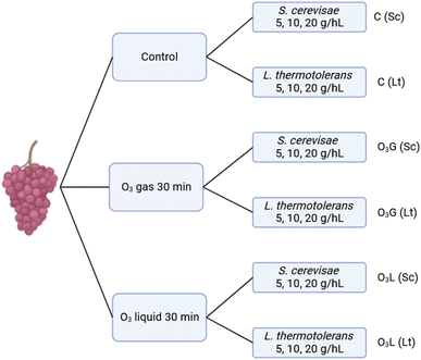 image file: d5fb00168d-f1.tif