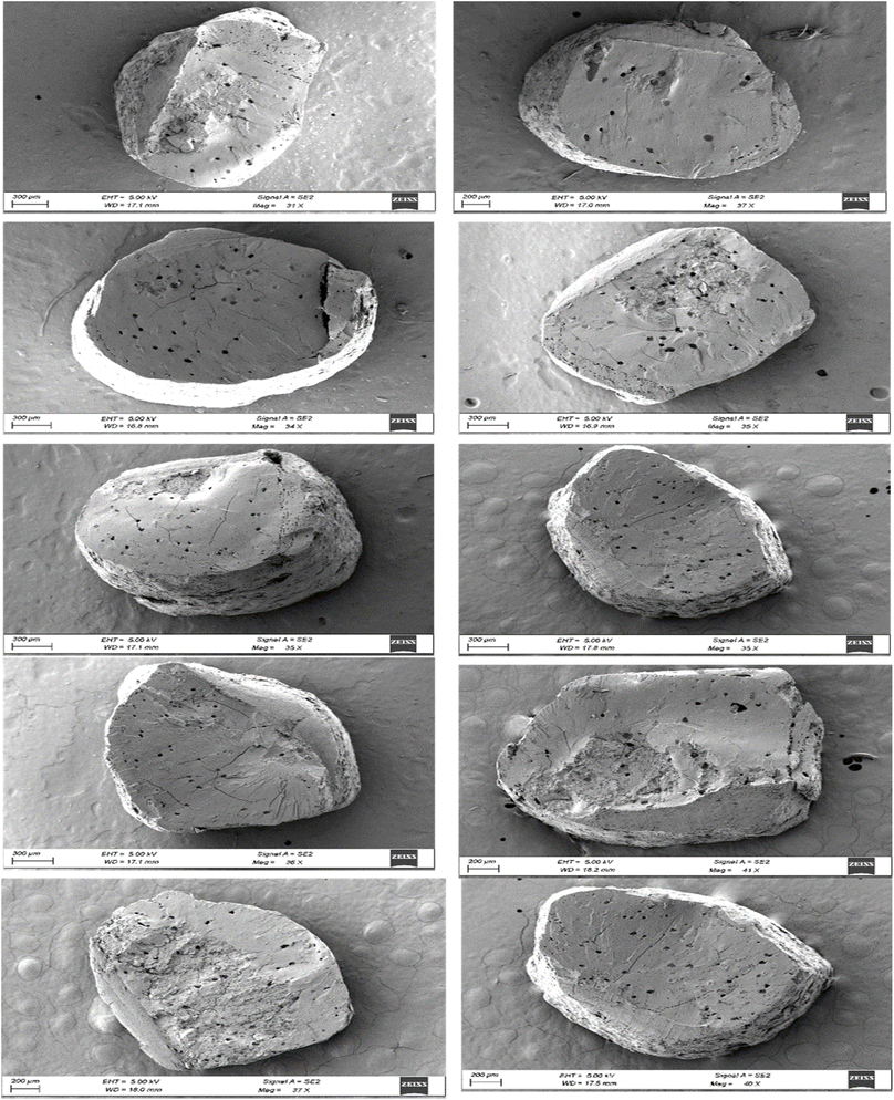 image file: d5fb00272a-f5.tif