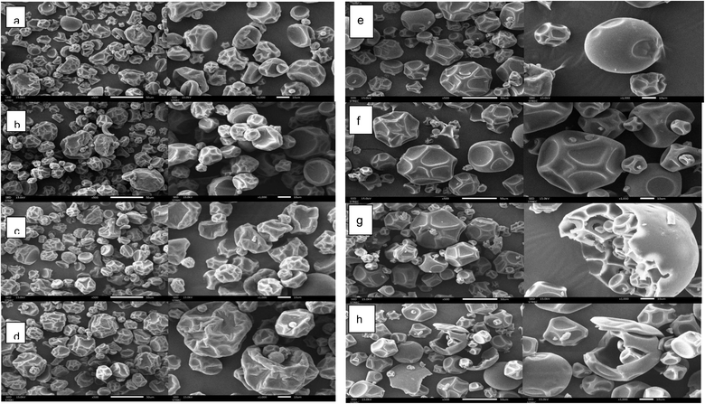 image file: d5fb00277j-f4.tif