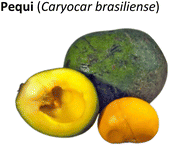 image file: d5fb00299k-u1.tif