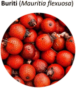 image file: d5fb00299k-u2.tif