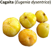 image file: d5fb00299k-u3.tif