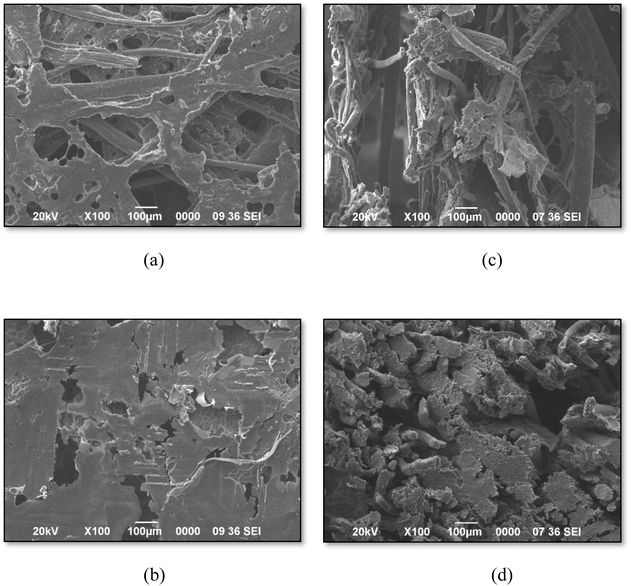 image file: d5fb00319a-f3.tif