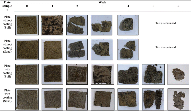 image file: d5fb00319a-f5.tif