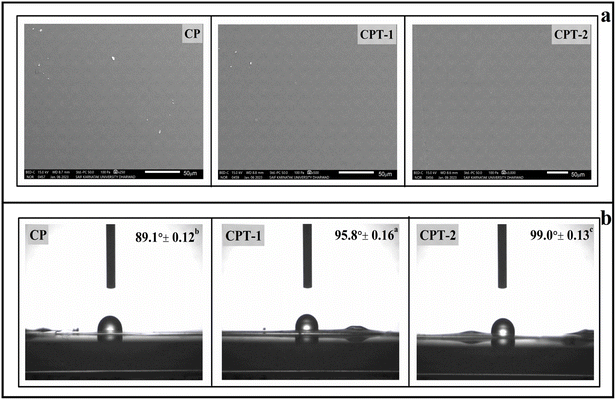 image file: d5fb00349k-f2.tif