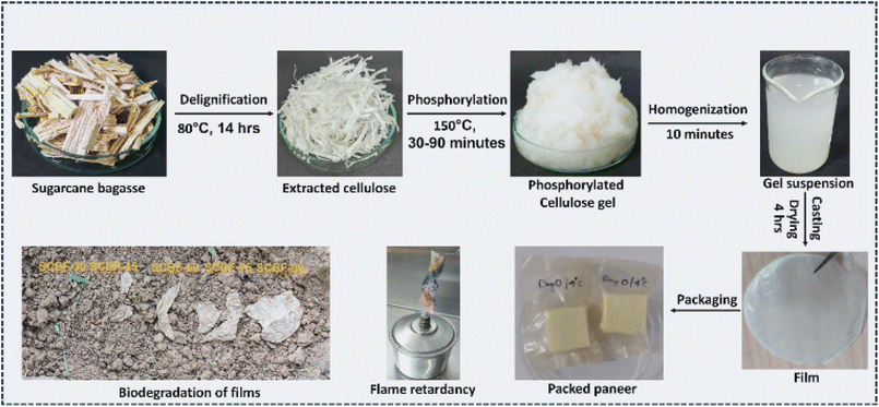 image file: d5fb00355e-f1.tif