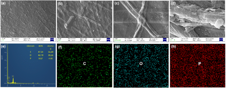 image file: d5fb00355e-f3.tif