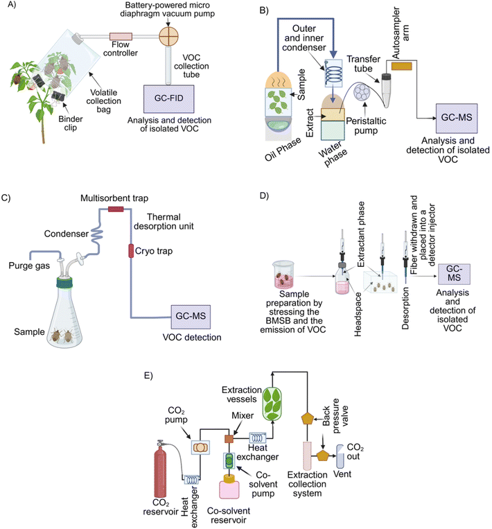image file: d5fb00370a-f1.tif