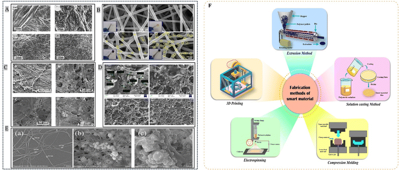 image file: d5fb00379b-f4.tif