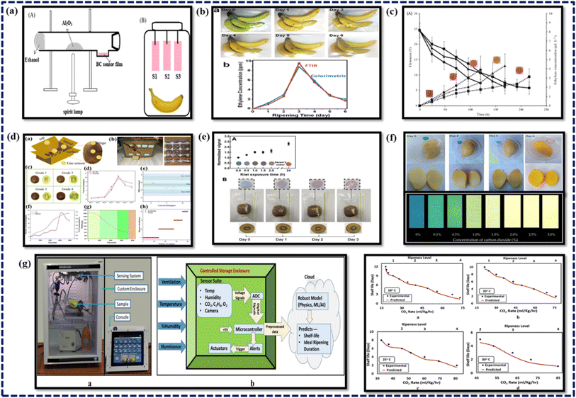 image file: d5fb00379b-f5.tif