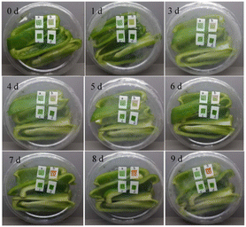 image file: d5fb00379b-u6.tif