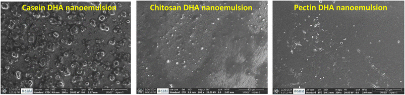 image file: d5fb00388a-f2.tif