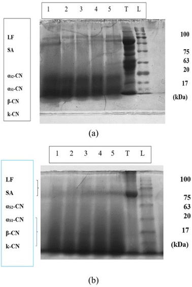 image file: d5fb00393h-f6.tif