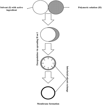 image file: d5fb00396b-f3.tif