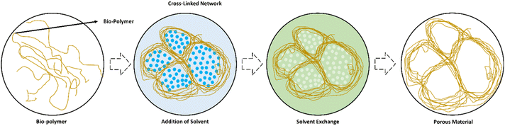 image file: d5fb00396b-f4.tif