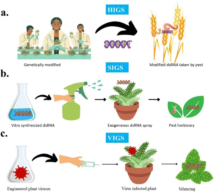 image file: d5fb00405e-f10.tif