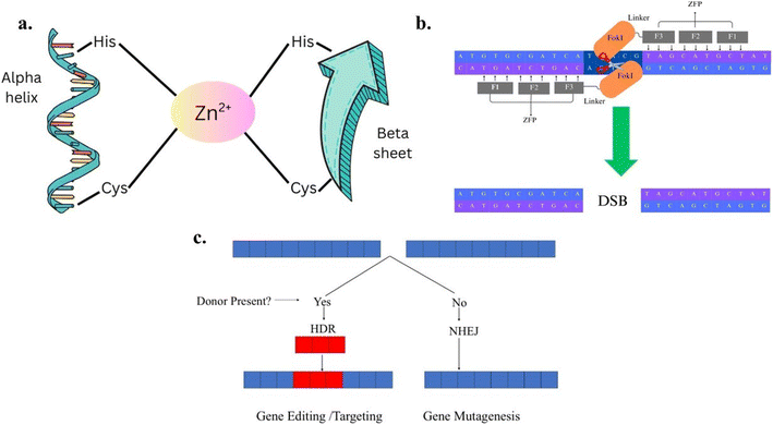 image file: d5fb00405e-f2.tif