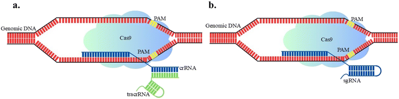 image file: d5fb00405e-f4.tif