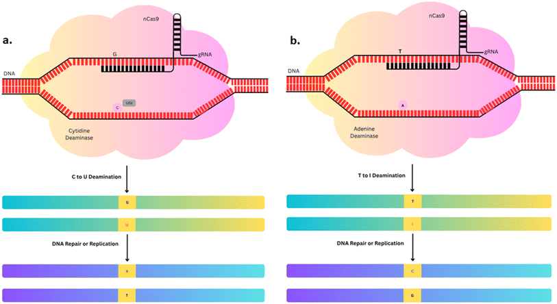 image file: d5fb00405e-f5.tif