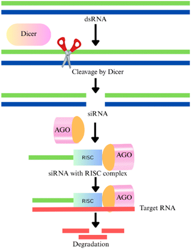 image file: d5fb00405e-f9.tif