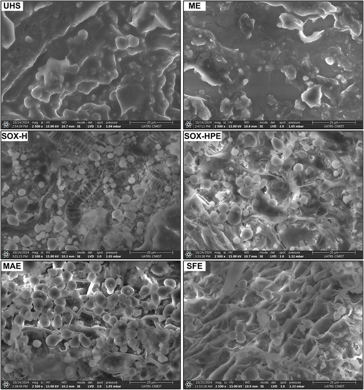 image file: d5fb00424a-f6.tif