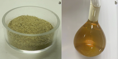 image file: d5fb00445d-f1.tif