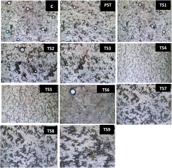 image file: d5fb00447k-f3.tif