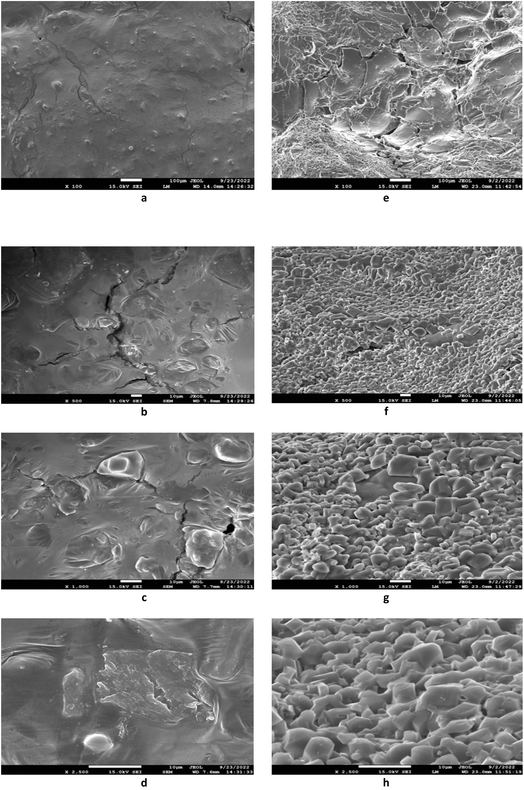 image file: d5fb00461f-f2.tif