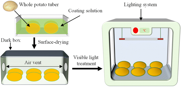 image file: d5fb00470e-f2.tif