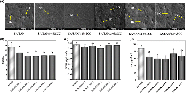 image file: d5fb00470e-f5.tif