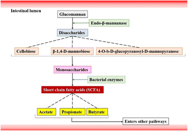 image file: d5fb00488h-f1.tif