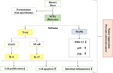 image file: d5fb00488h-f2.tif